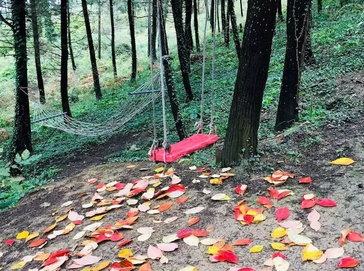 هتل Agva Orman Evleri Forest Lodge