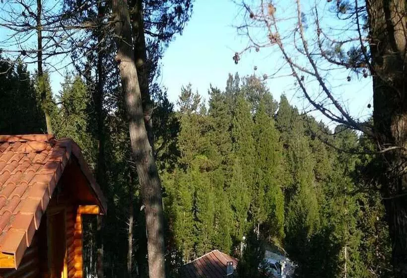 هتل Agva Orman Evleri Forest Lodge