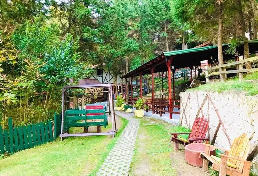 هتل Agva Orman Evleri Forest Lodge