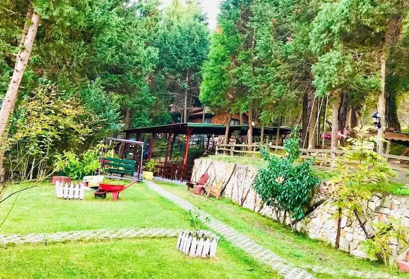 هتل Agva Orman Evleri Forest Lodge