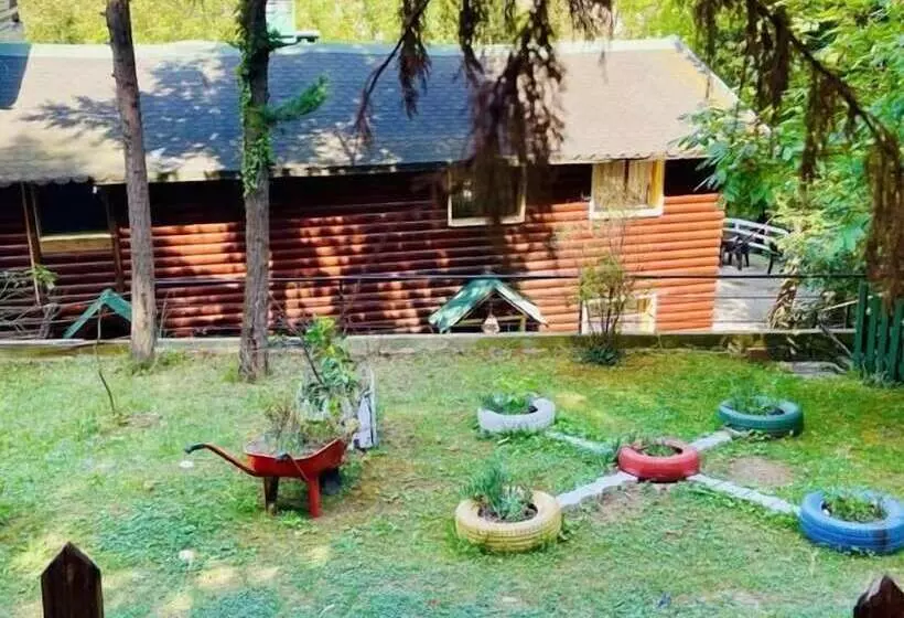 هتل Agva Orman Evleri Forest Lodge