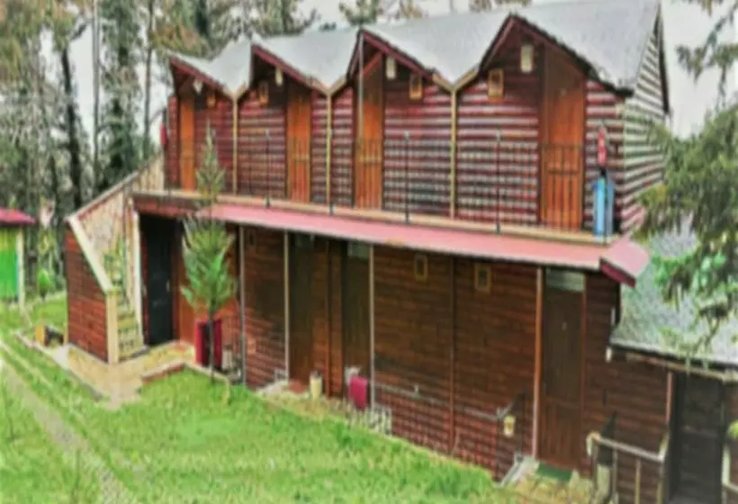 هتل Agva Orman Evleri Forest Lodge