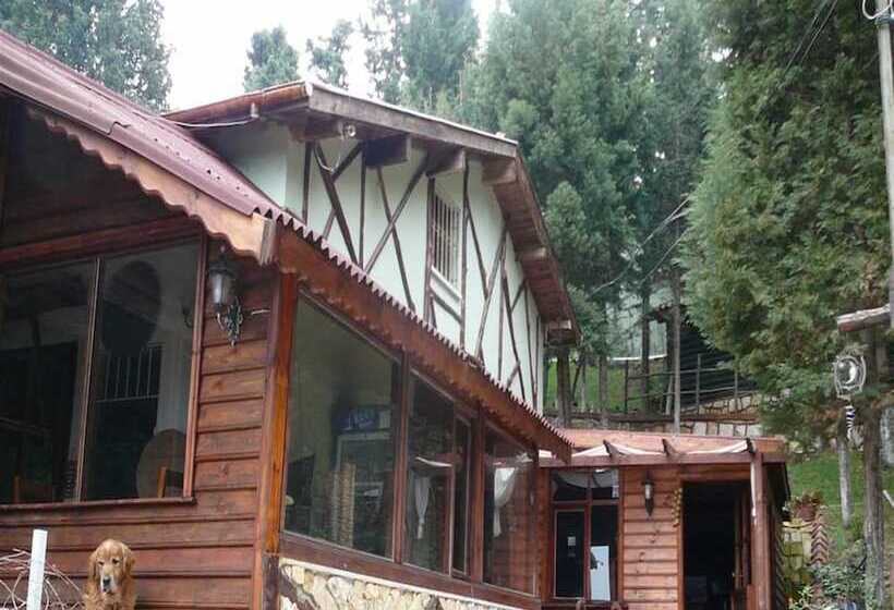 בית מלון כפרי Agva Orman Evleri Forest Lodge