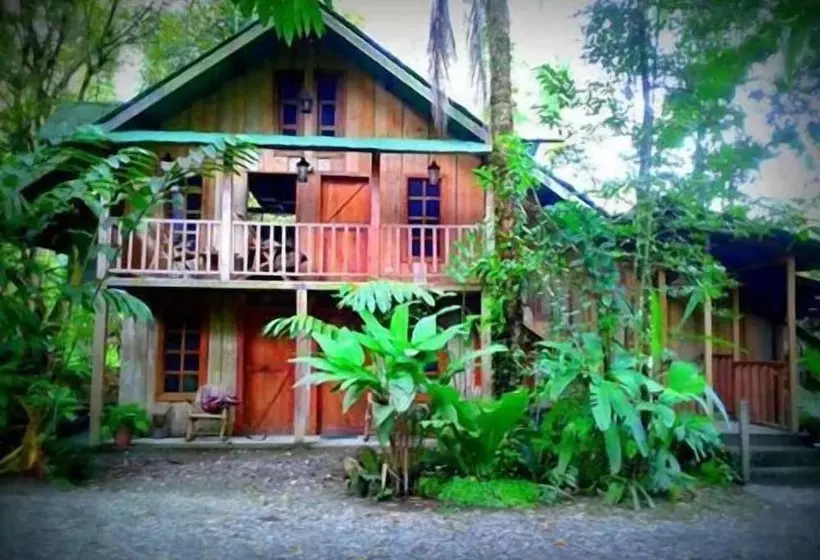 ホテル La Gamba Rainforest Lodge