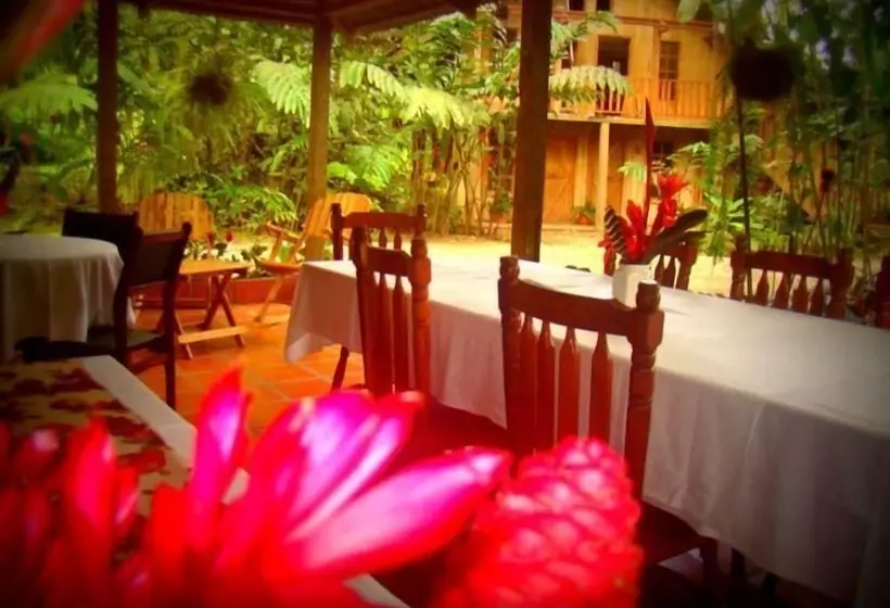 ホテル La Gamba Rainforest Lodge