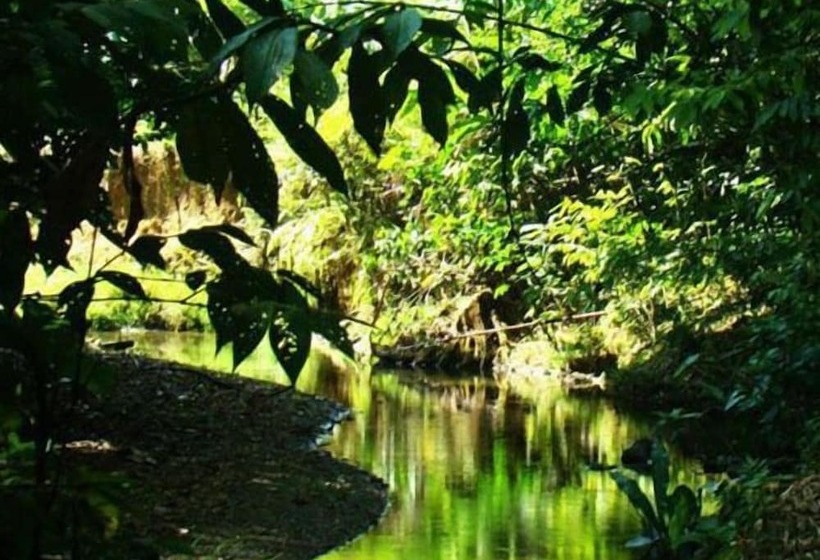 هتل La Gamba Rainforest Lodge