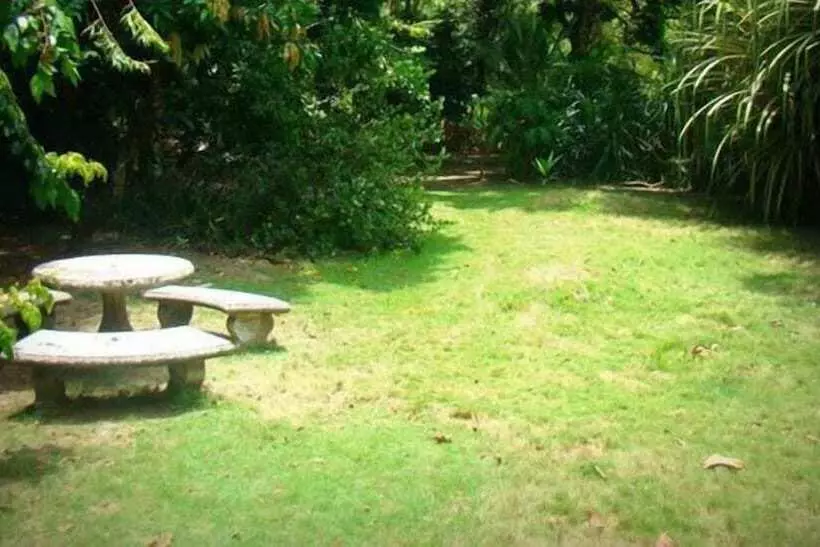 ホテル La Gamba Rainforest Lodge