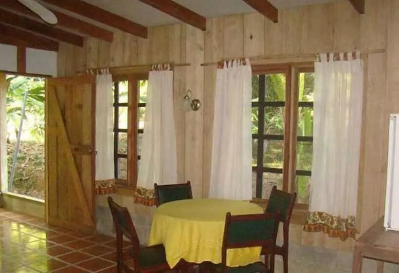 ホテル La Gamba Rainforest Lodge