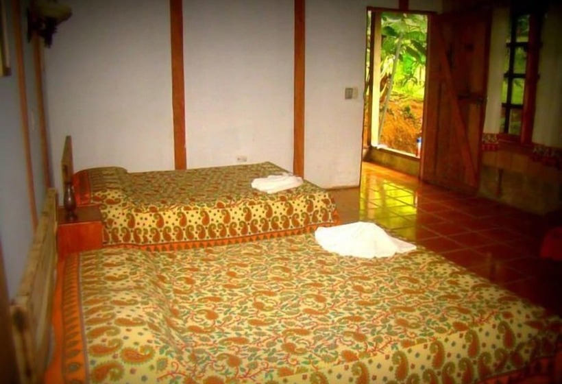 هتل La Gamba Rainforest Lodge