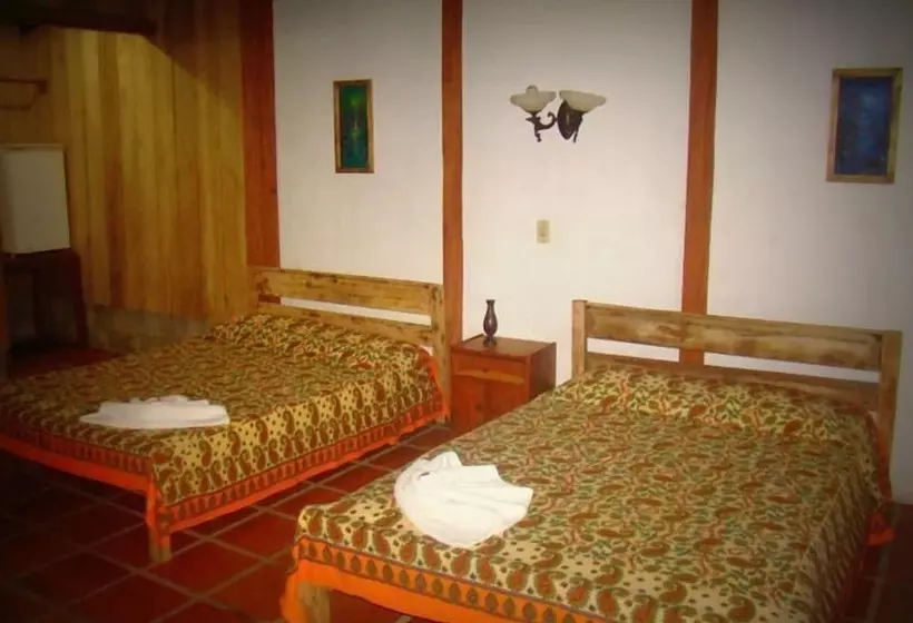 ホテル La Gamba Rainforest Lodge