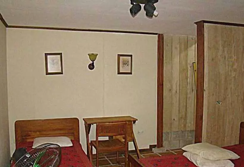 ホテル La Gamba Rainforest Lodge