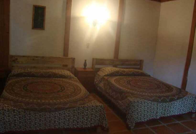 هتل La Gamba Rainforest Lodge