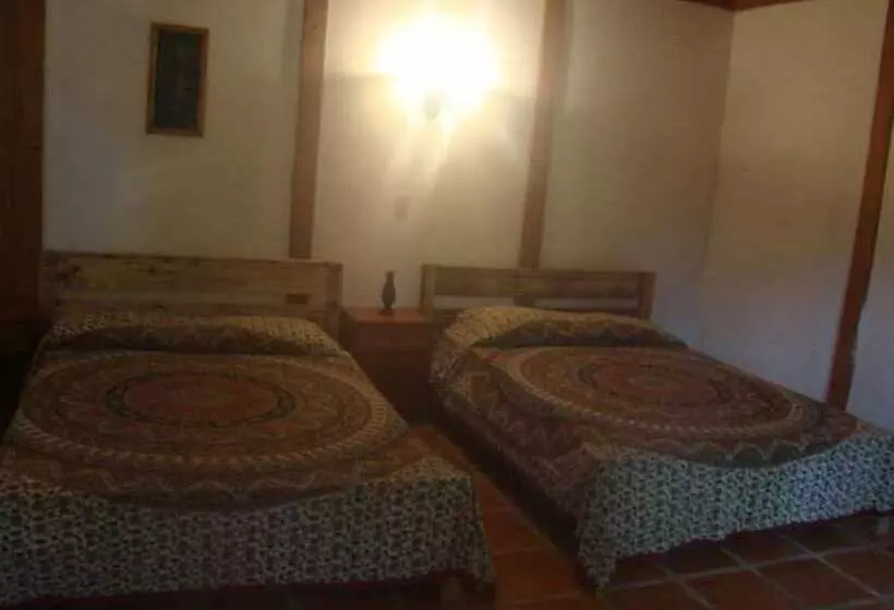 ホテル La Gamba Rainforest Lodge