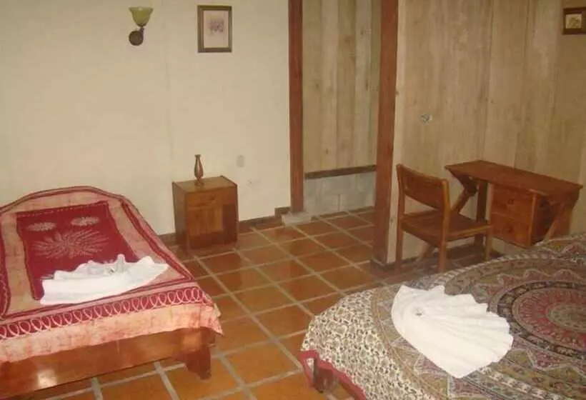 ホテル La Gamba Rainforest Lodge