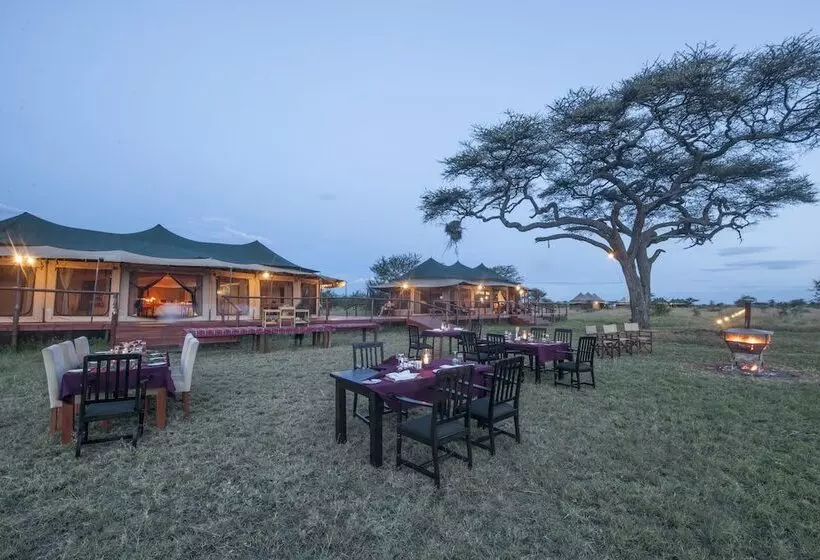 هتل Serengeti Acacia Central Camp