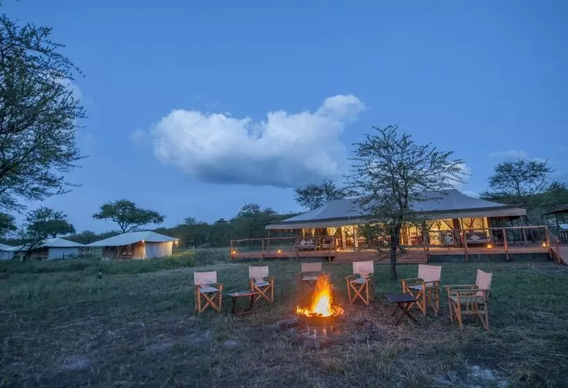 هتل Serengeti Acacia Central Camp