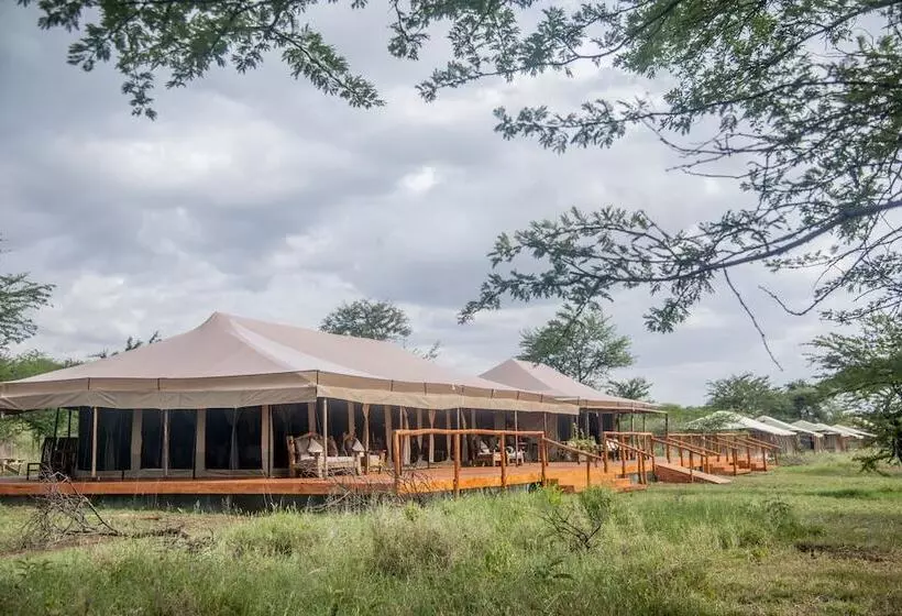 هتل Serengeti Acacia Central Camp