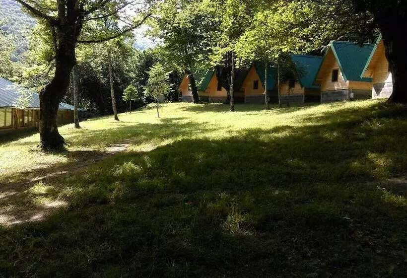 هتل Tara Inn Resort