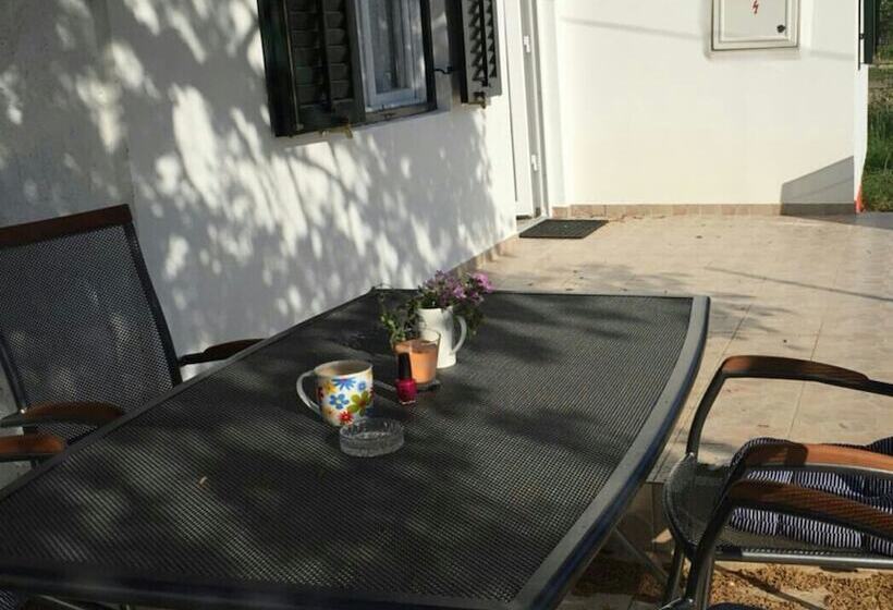 بنسيون Fortunero