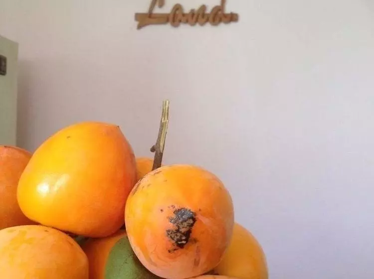 پانسیون Green Land Lodge & Restaurant