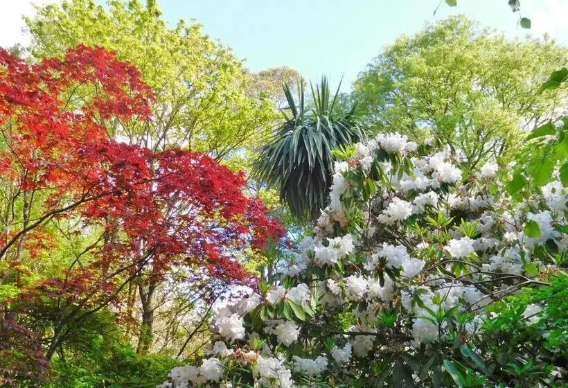 ペンション Kilmokea Country Manor & Gardens