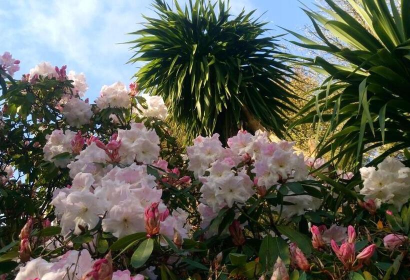 膳宿费 Kilmokea Country Manor & Gardens