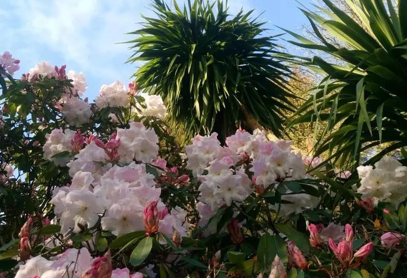 ペンション Kilmokea Country Manor & Gardens