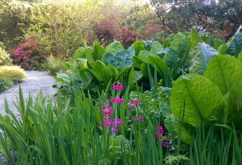 膳宿费 Kilmokea Country Manor & Gardens