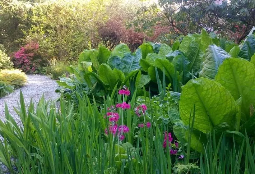 ペンション Kilmokea Country Manor & Gardens