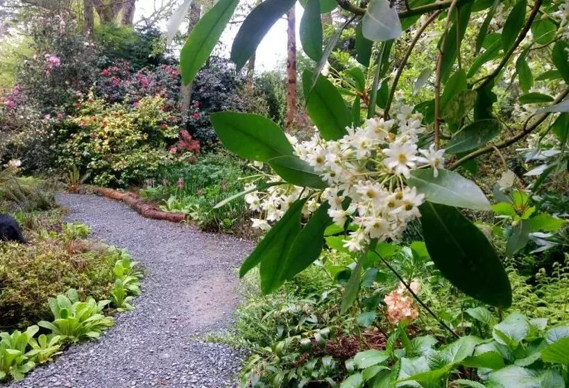 ペンション Kilmokea Country Manor & Gardens