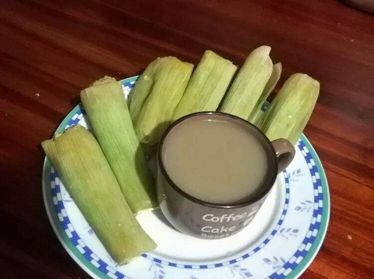 Majatalo La Quinta Primavera