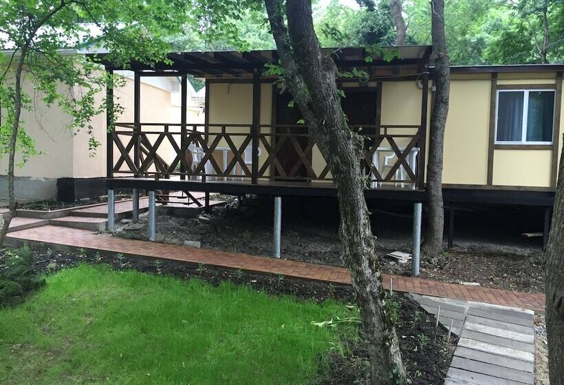 پانسیون Rucheek