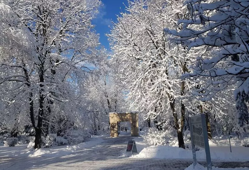 Majatalo Art Boutique Central