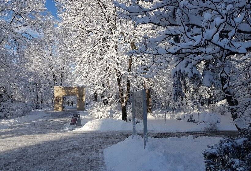 ペンション Art Boutique Central