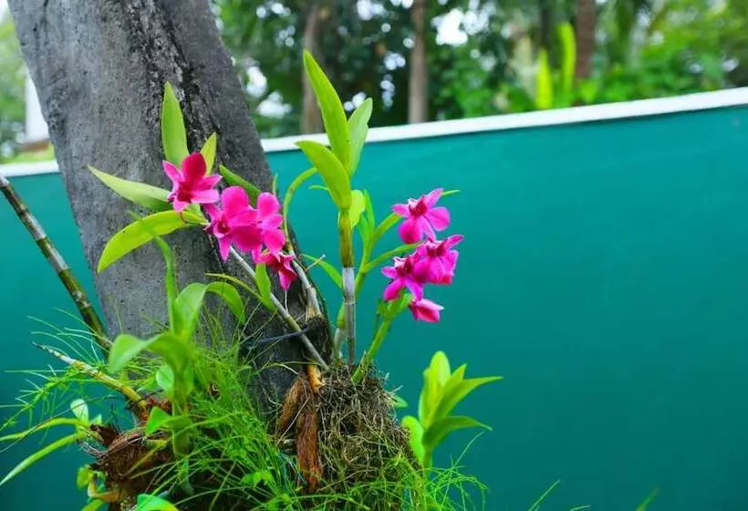 Majatalo Ceylonika Rest