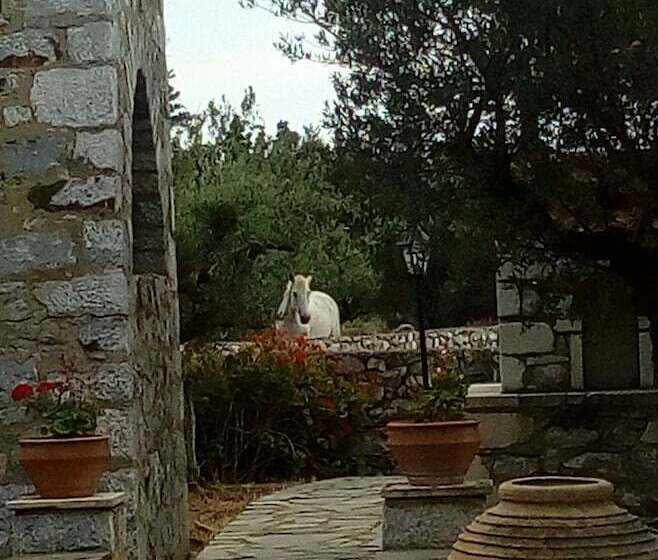 پانسیون Charouda Stone Tower