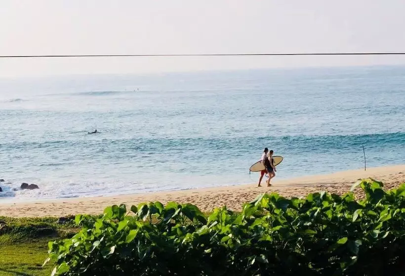 Majatalo Hot Tuna Surfers Rest Midigama