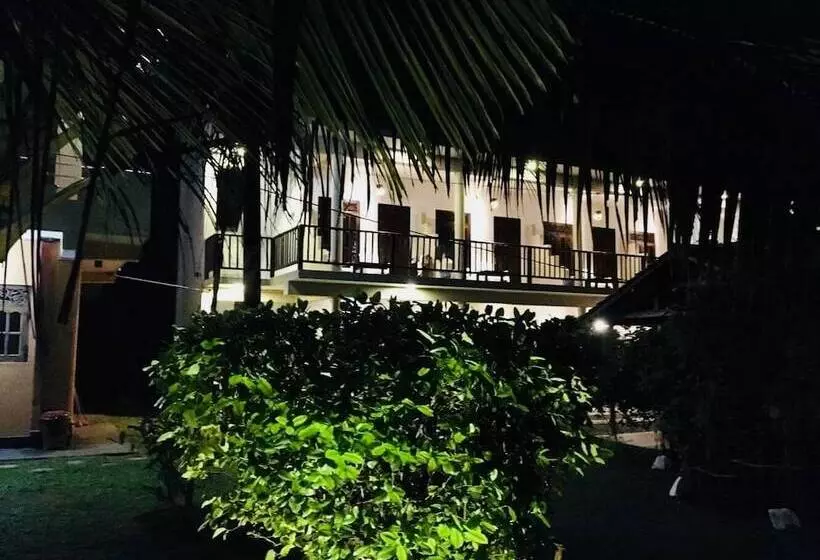 Majatalo Hot Tuna Surfers Rest Midigama