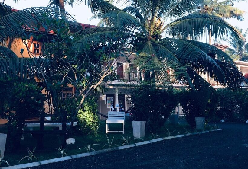 بنسيون Hot Tuna Surfers Rest Midigama