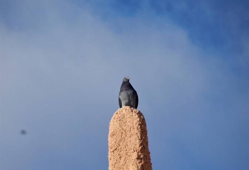 پانسیون Kasbah Du Bout Du Monde