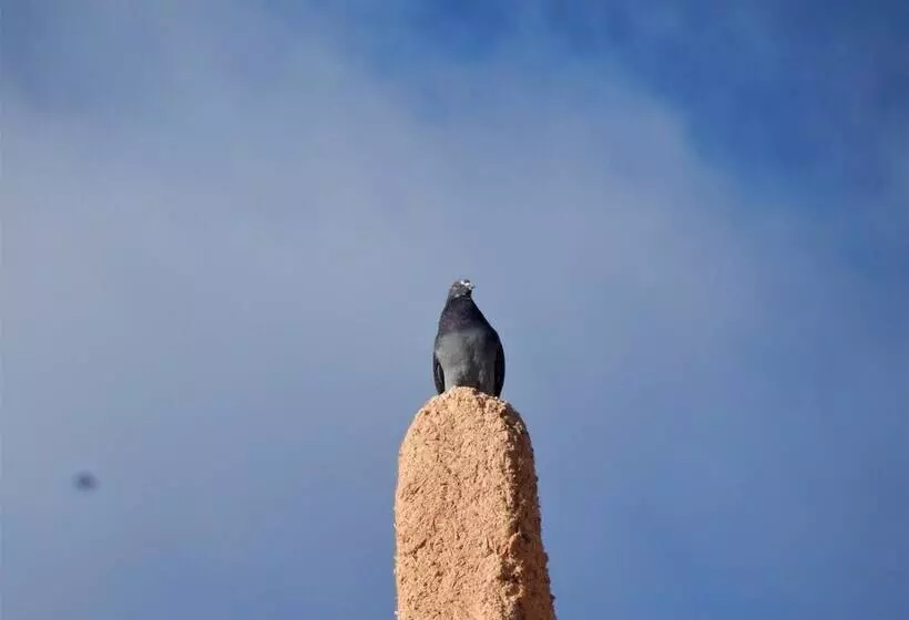 پانسیون Kasbah Du Bout Du Monde