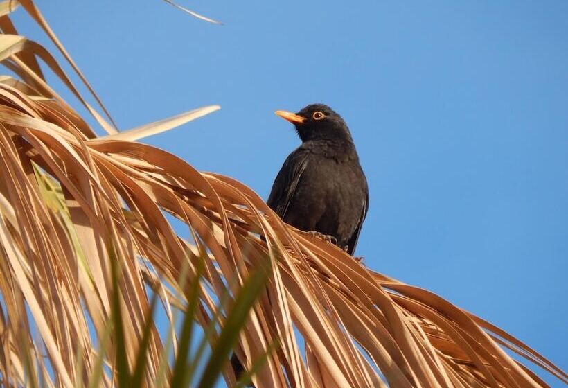 پانسیون Kasbah Du Bout Du Monde