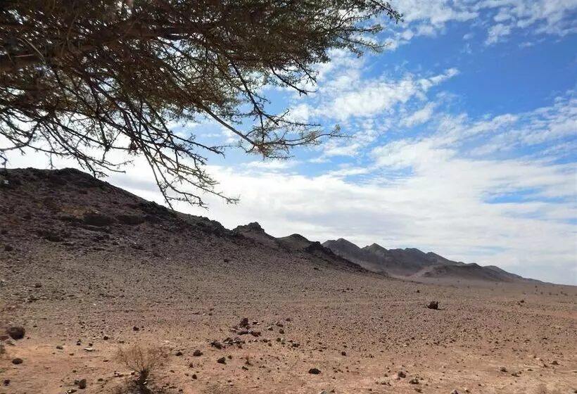 پانسیون Kasbah Du Bout Du Monde