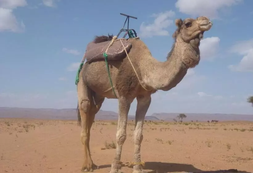 پانسیون Kasbah Du Bout Du Monde