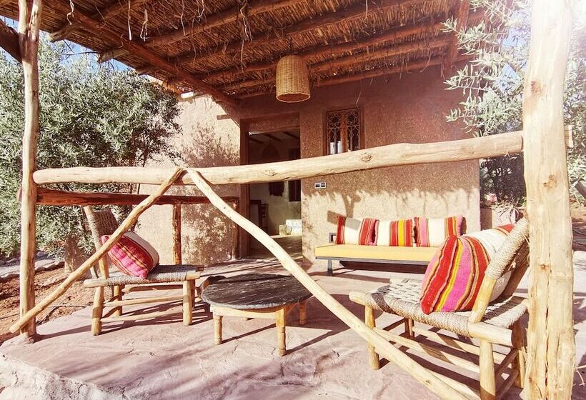 Pansiyon Les Jardins De Taja