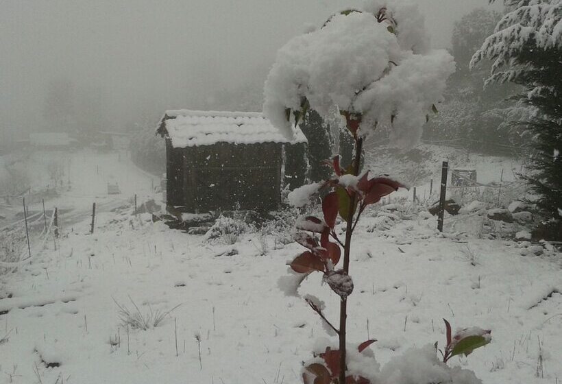 ペンション Chale Pouso Da Serra   Casas De Montanha