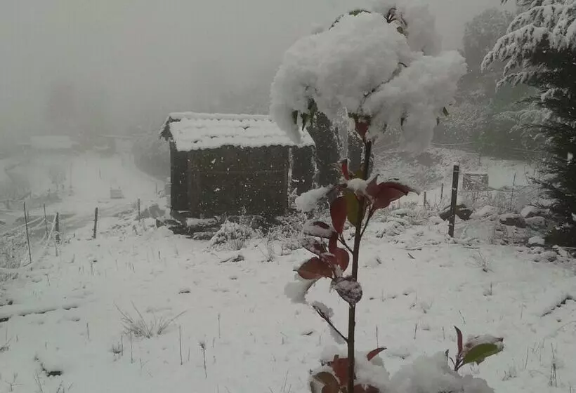 ペンション Chale Pouso Da Serra   Casas De Montanha