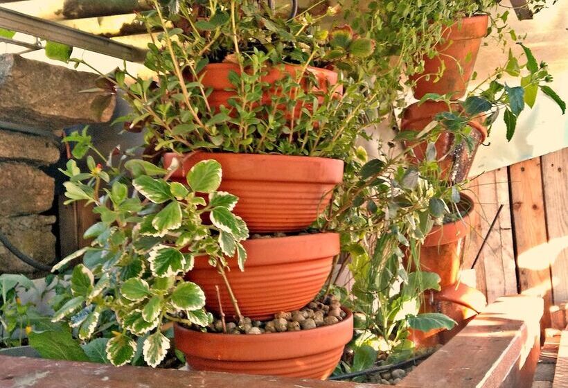 ペンション Chale Pouso Da Serra   Casas De Montanha