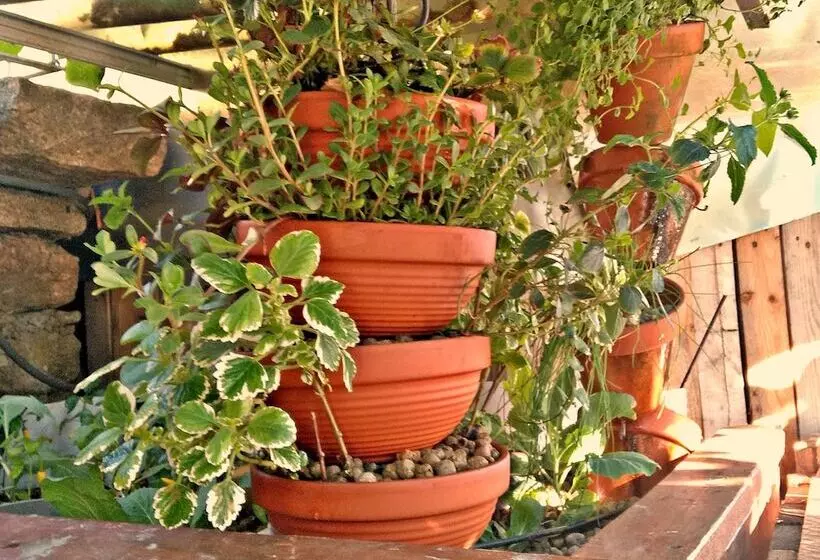 ペンション Chale Pouso Da Serra   Casas De Montanha