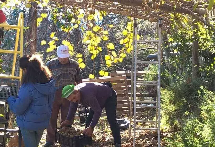 ペンション Chale Pouso Da Serra   Casas De Montanha